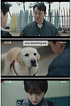 스크린샷