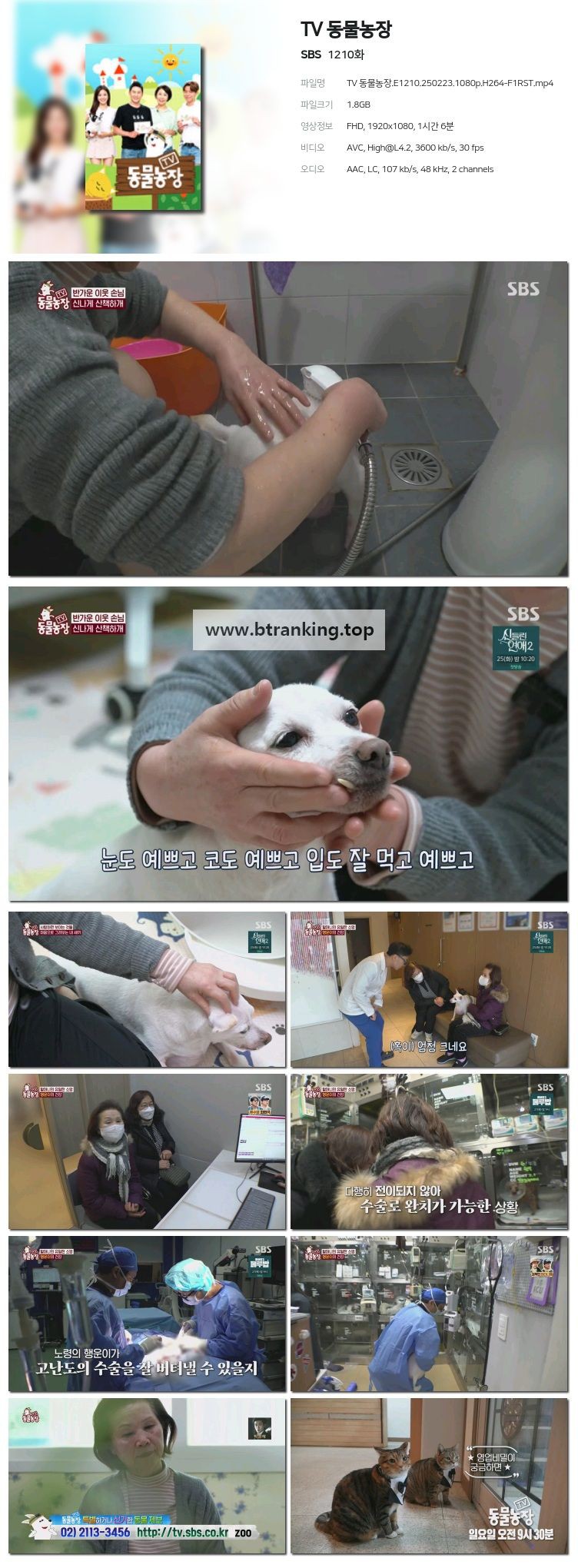 스크린샷