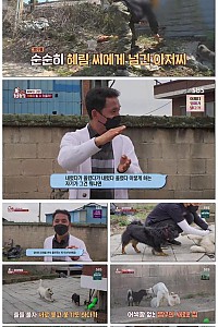 스크린샷