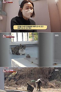 스크린샷