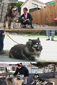 스크린샷