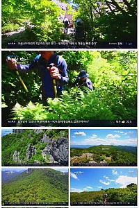 스크린샷