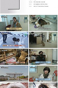 스크린샷