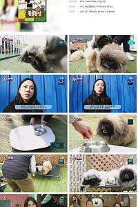 스크린샷