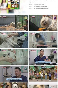 스크린샷