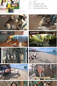 스크린샷