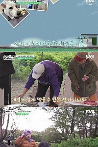 스크린샷