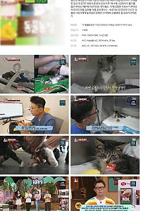 스크린샷