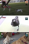 스크린샷