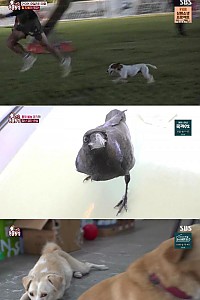 스크린샷