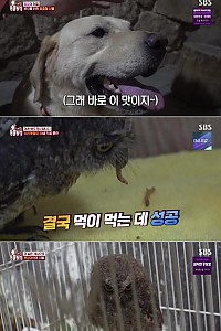 스크린샷