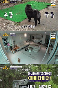 스크린샷