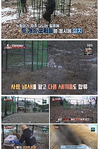스크린샷
