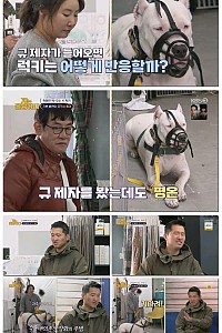 스크린샷