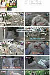 스크린샷