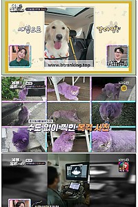 스크린샷