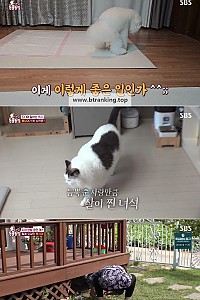 스크린샷