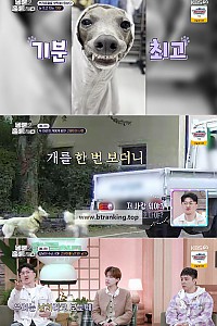 스크린샷