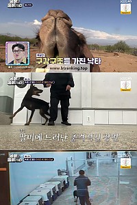 스크린샷