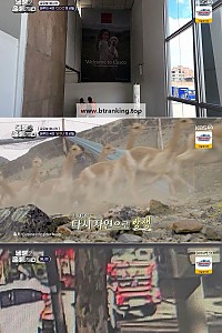 스크린샷