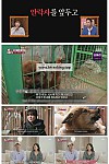 스크린샷
