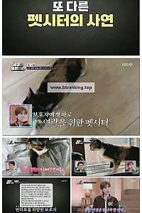 스크린샷
