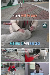 스크린샷