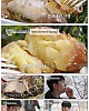 https://www.namu02.shop/data/file/ent_to/thumb-17474931659708_80x100.jpg
