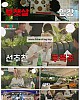 https://www.namu02.shop/data/file/ent_to/thumb-17504822565513_80x100.jpg