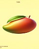 https://www.namu02.shop/data/file/game/thumb-17222869616195_80x100.jpg