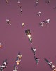 https://www.namu02.shop/data/file/game/thumb-17224814818328_80x100.jpg