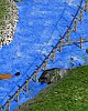 https://www.namu02.shop/data/file/game/thumb-17231726799656_80x100.jpg
