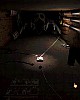 https://www.namu02.shop/data/file/game/thumb-17274716120721_80x100.jpg