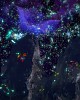 https://www.namu02.shop/data/file/game/thumb-17316075020649_80x100.jpg