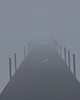 https://www.namu02.shop/data/file/game/thumb-17441352213831_80x100.jpg