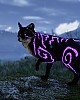 https://www.namu02.shop/data/file/game/thumb-1746716510514_80x100.jpg
