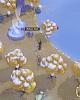 https://www.namu02.shop/data/file/game/thumb-17468388736462_80x100.jpg