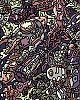 https://www.namu02.shop/data/file/game/thumb-17474148490345_80x100.jpg
