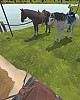 https://www.namu02.shop/data/file/game/thumb-17477029035135_80x100.jpg