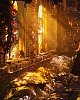 https://www.namu02.shop/data/file/game/thumb-17479805679875_80x100.jpg