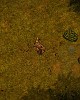 https://www.namu02.shop/data/file/game/thumb-17485272859377_80x100.jpg
