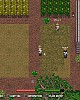 https://www.namu02.shop/data/file/game/thumb-17488944821261_80x100.jpg