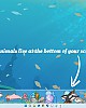 https://www.namu02.shop/data/file/game/thumb-17502696786565_80x100.jpg