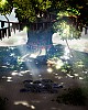 https://www.namu02.shop/data/file/game/thumb-17503020829133_80x100.jpg