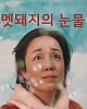 https://www.namu02.shop/data/file/movie/thumb-17483978978811_80x100.jpg
