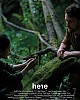 https://www.namu02.shop/data/file/movie_new/thumb-17214657093375_80x100.jpg