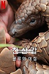 스크린샷