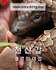 https://www.namu02.shop/data/file/movie_to/thumb-17454499743636_80x100.jpg