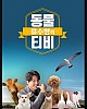 https://www.namu02.shop/data/file/sisa_new/thumb-17221367480963_80x100.jpg