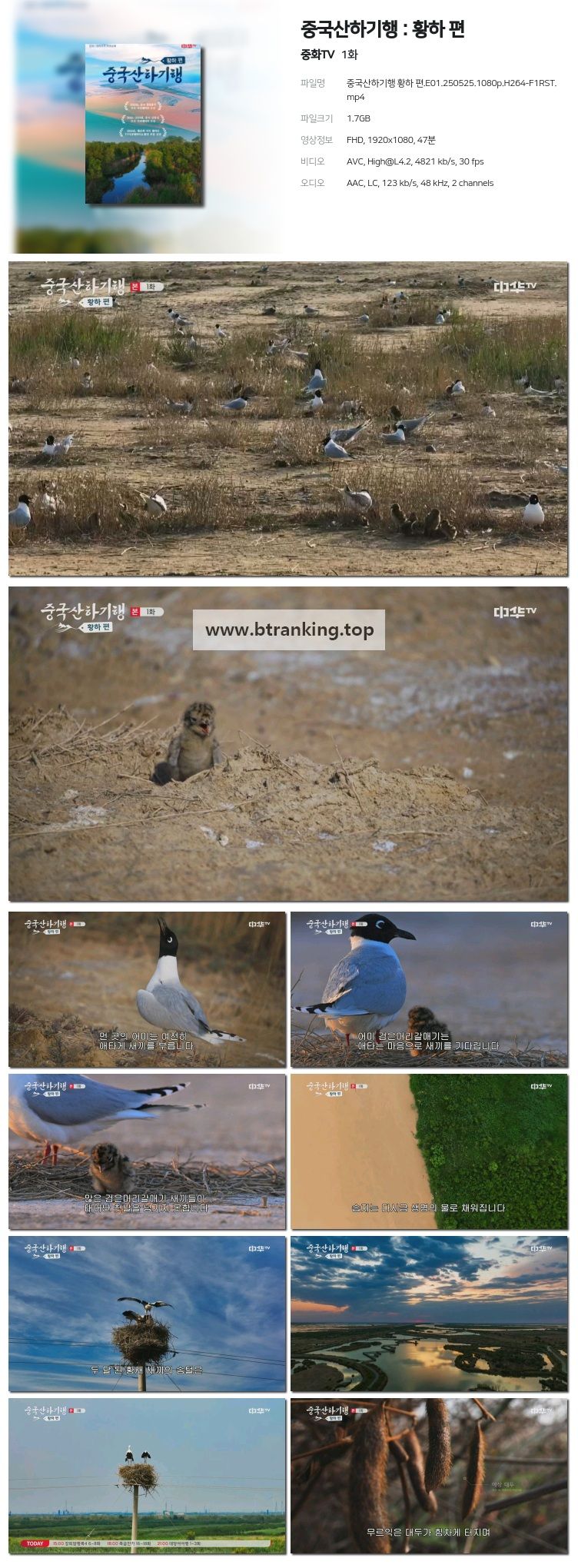 스크린샷